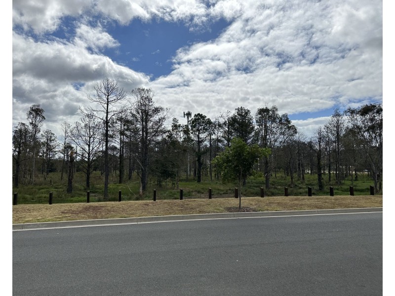 31 Matasha Crescent, Pimpama QLD 4209