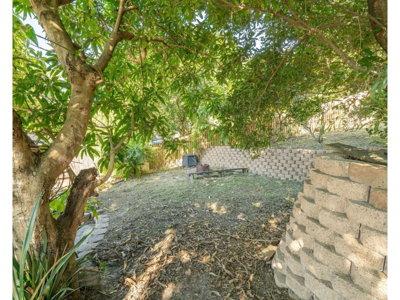 3 Avon Court, Pacific Pines QLD 4211