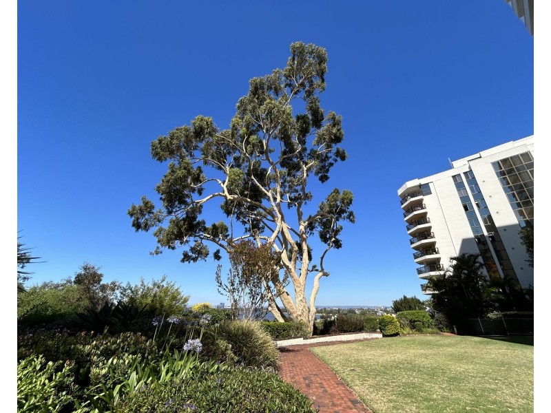 61/154 Mill Point Road, South Perth WA 6151