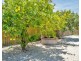 8 Centaurus Street, Rockingham WA 6168