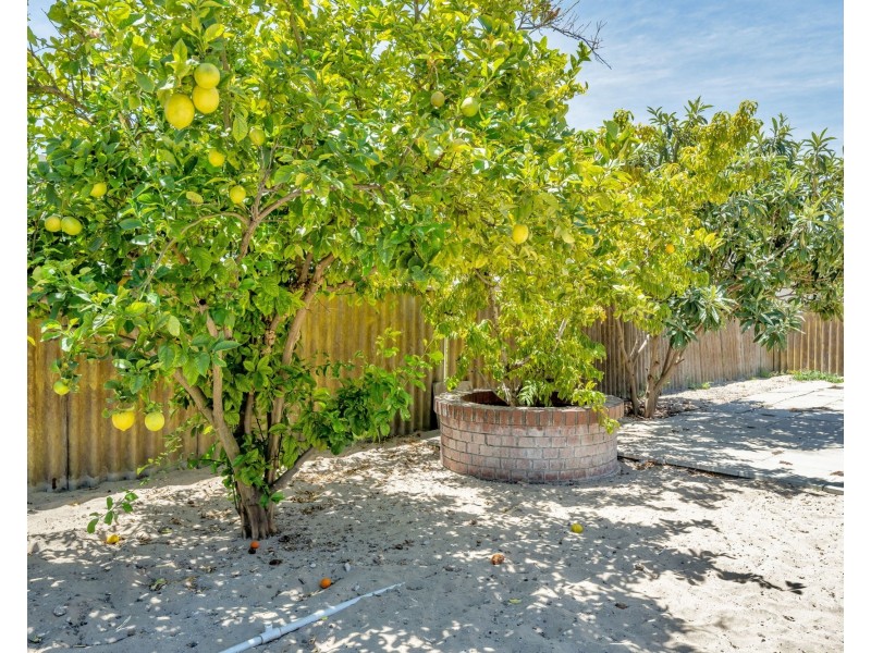 8 Centaurus Street, Rockingham WA 6168