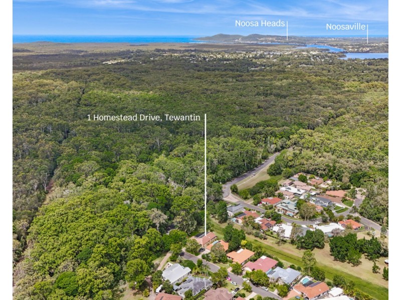 1 Homestead Drive, Tewantin QLD 4565