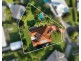 13 Nugan Court, Tewantin QLD 4565
