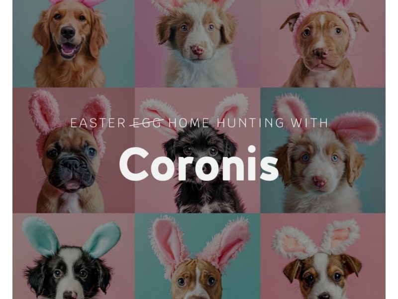 21006/5 Harbour Side Court, Biggera Waters QLD 4216