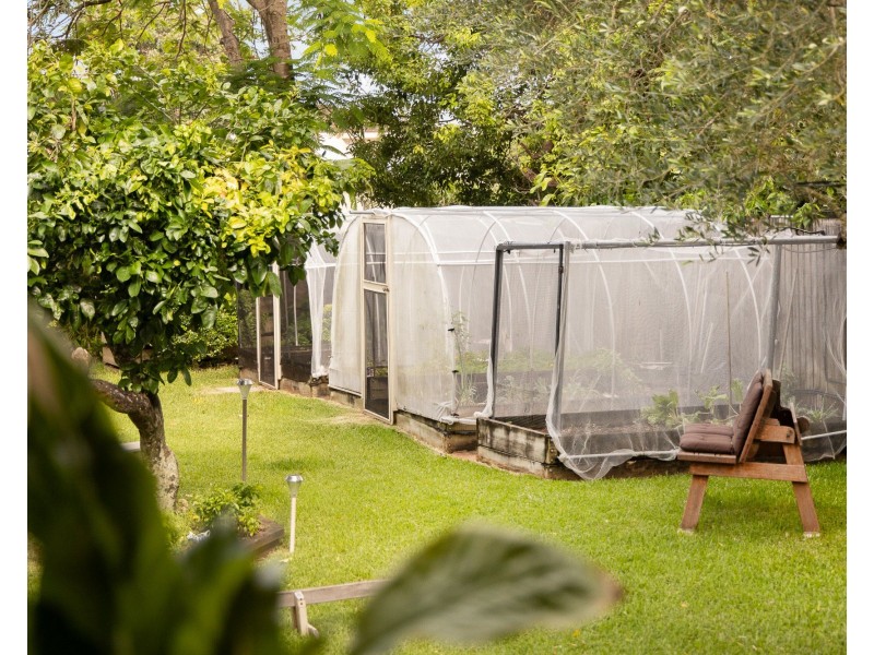 60 Clayton street, Sandgate QLD 4017