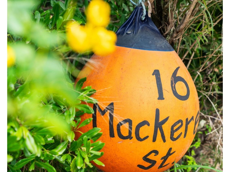 16 Mackerel Street, Noosa North Shore QLD 4565