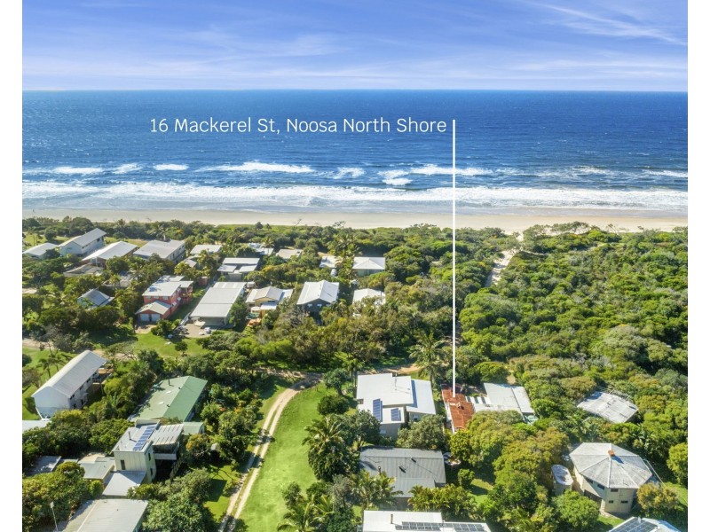16 Mackerel Street, Noosa North Shore QLD 4565