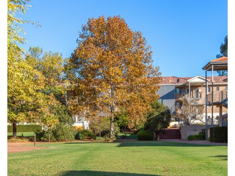 31/79 Waverley Road, Coolbellup WA 6163