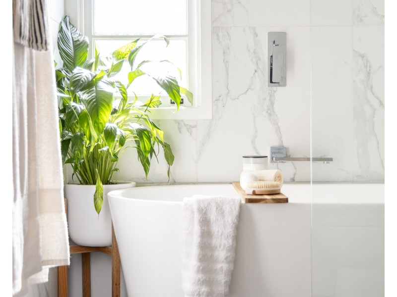 19 Craig Street, Brighton QLD 4017