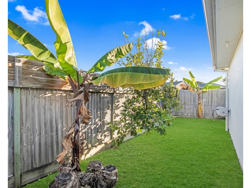 5 Chaps Close, Narangba QLD 4504