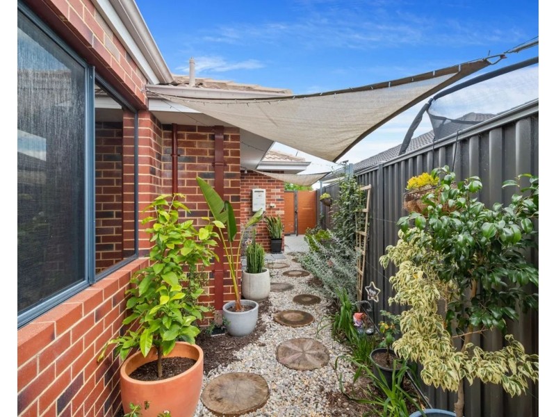 3 Pesto Street, Aveley WA 6069