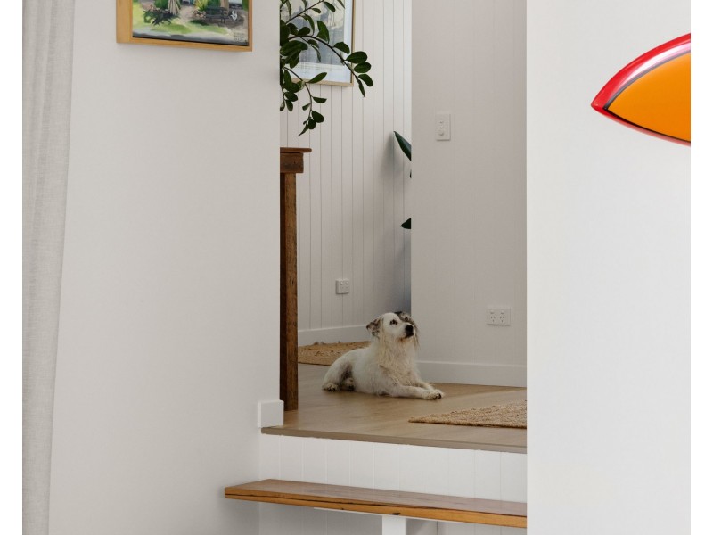 79 Oriole Avenue, Peregian Beach QLD 4573