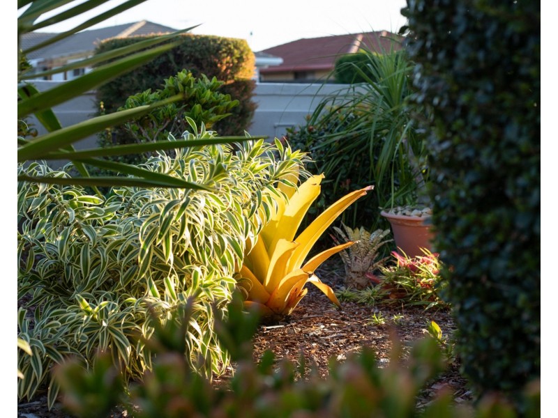 98 Lamerough Parade, Pelican Waters QLD 4551