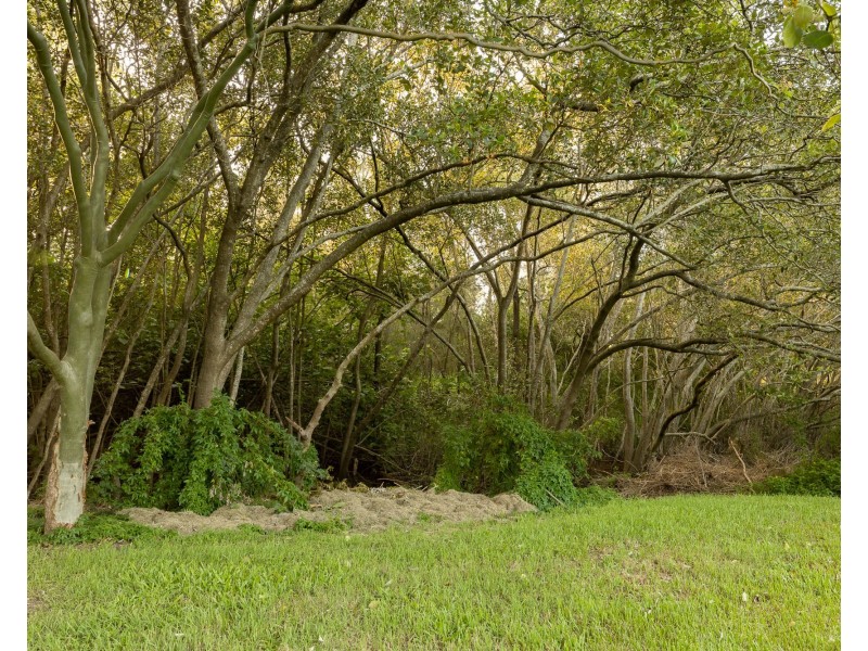 7 Dorloo Street, Deagon QLD 4017