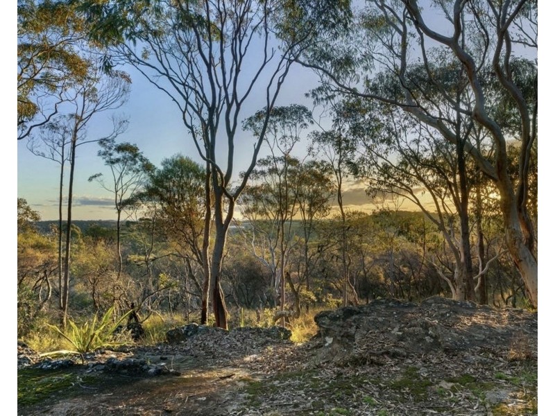 59c Baines Road, Mangrove Mountain NSW 2250