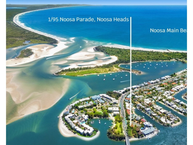 1/95 Noosa Parade, Noosa Heads QLD 4567