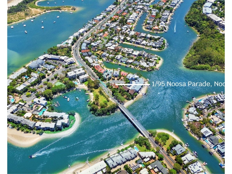 1/95 Noosa Parade, Noosa Heads QLD 4567