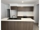 13 Dover Street, Spring Mountain QLD 4124