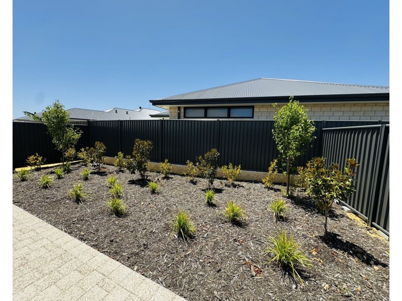 50 Butterleaf Road, Baldivis WA 6171