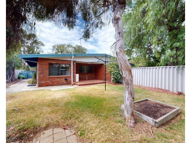 11 Baroy Street, Falcon WA 6210