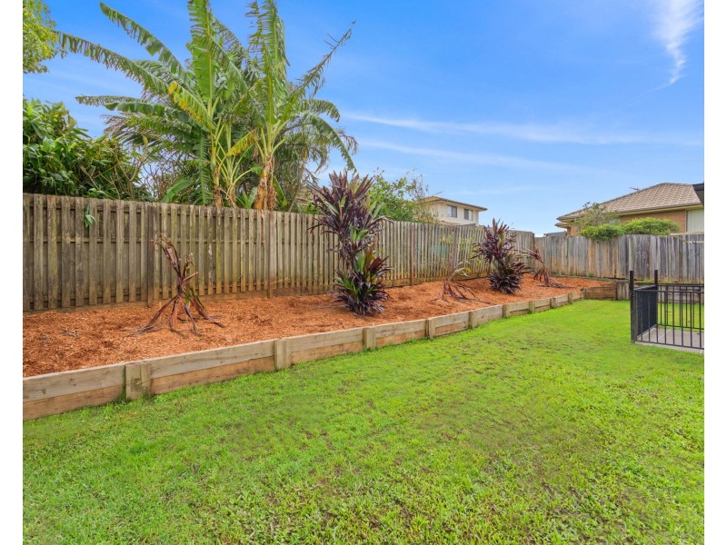 17 Bella Boulevard, Pimpama QLD 4209