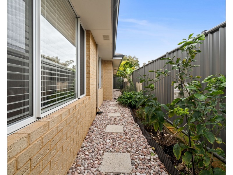 10 Perks Lane, Baldivis WA 6171