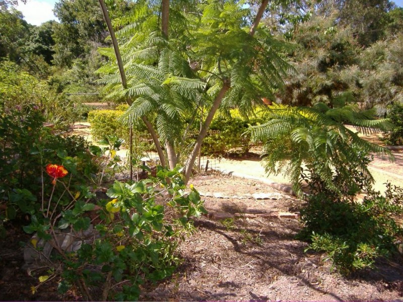 15 Doorey Street, Keperra QLD 4054