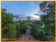 103 Plucks Road, Arana Hills QLD 4054