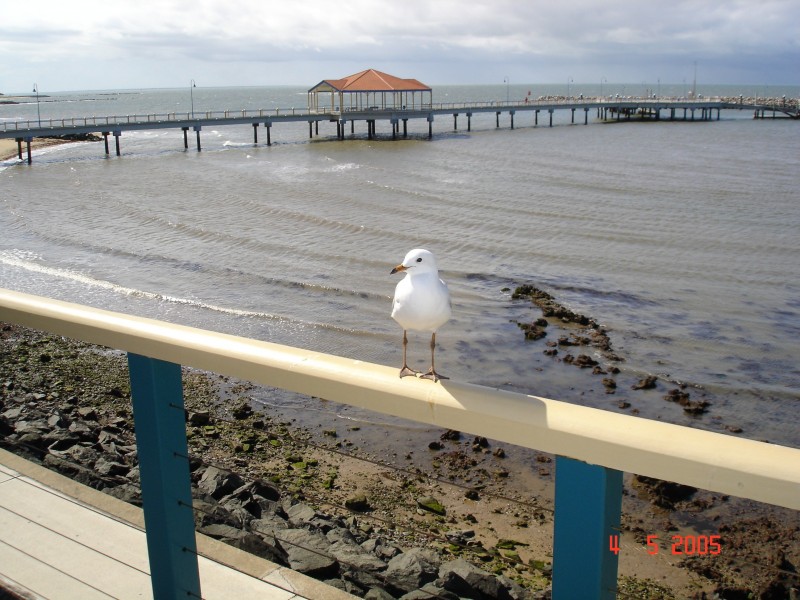 Scarborough QLD 4020