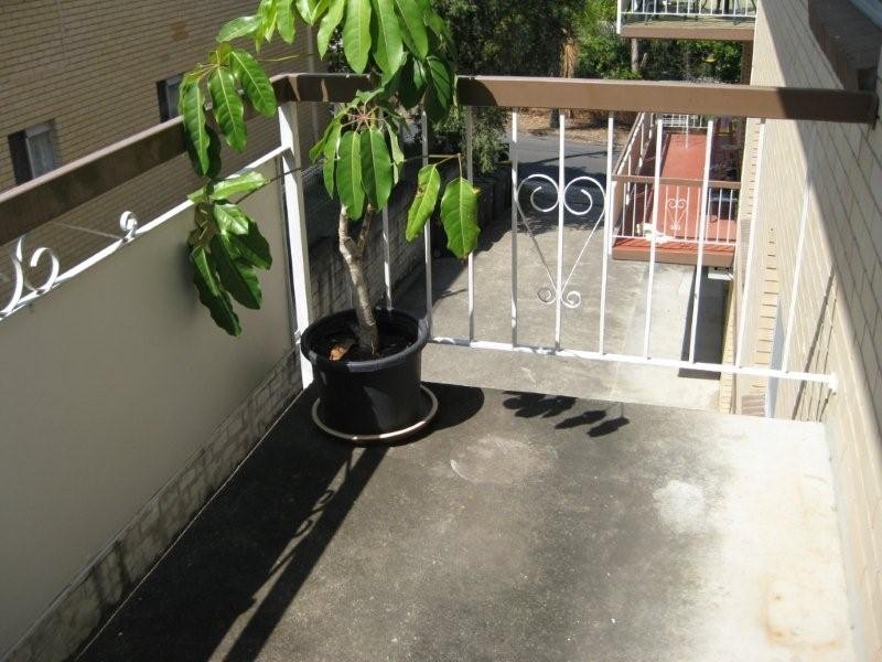 5/30 Moran Street, Alderley QLD 4051