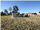 Morayfield QLD 4506