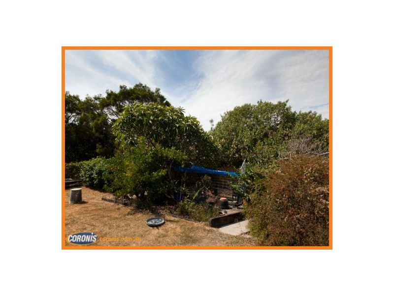 26 Kate Street, Alderley QLD 4051