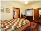 Ashgrove QLD 4060