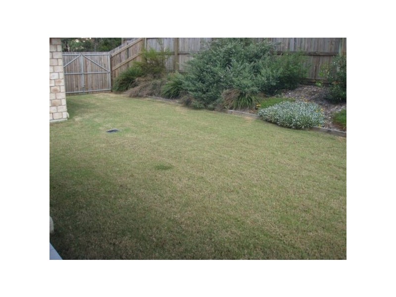 8 Paulette Court, Cashmere QLD 4500