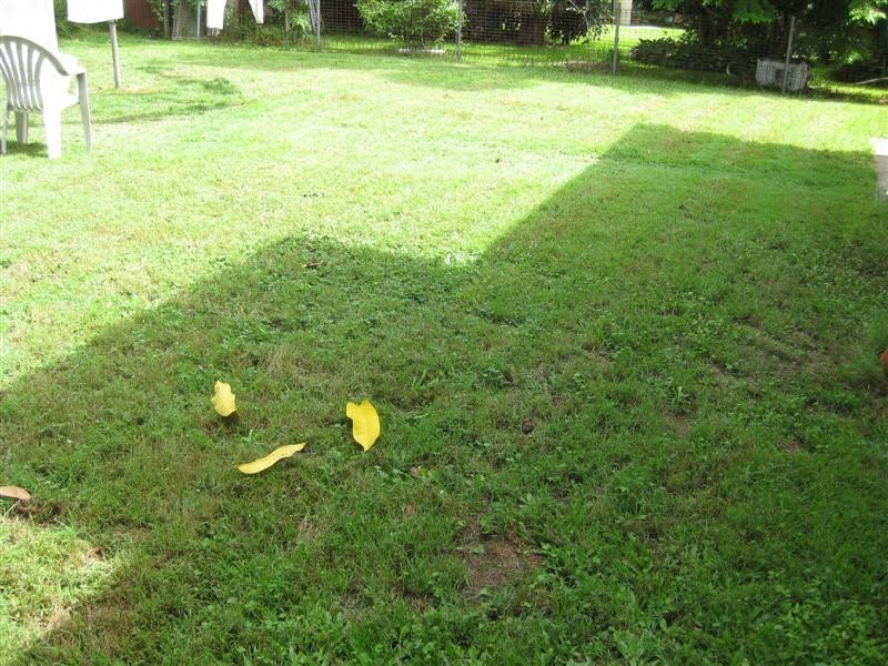 4 Mugara Street, Chermside West QLD 4032