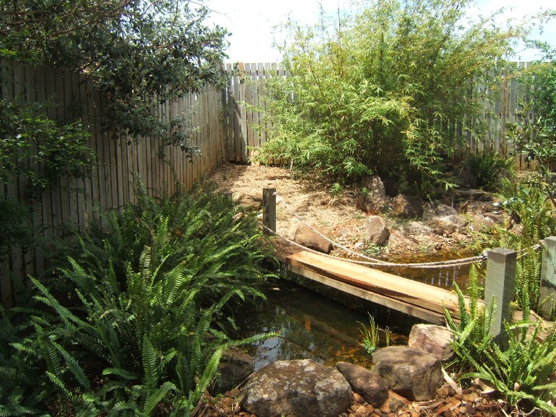 36 Aramis Place, Nudgee QLD 4014