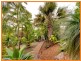 83 Plucks Road, Arana Hills QLD 4054