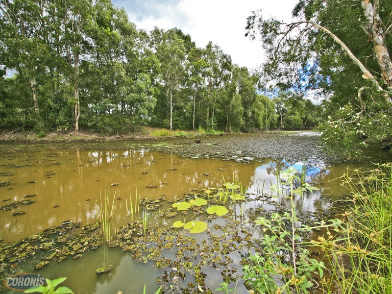 59 Camelot Place, Bridgeman Downs QLD 4035