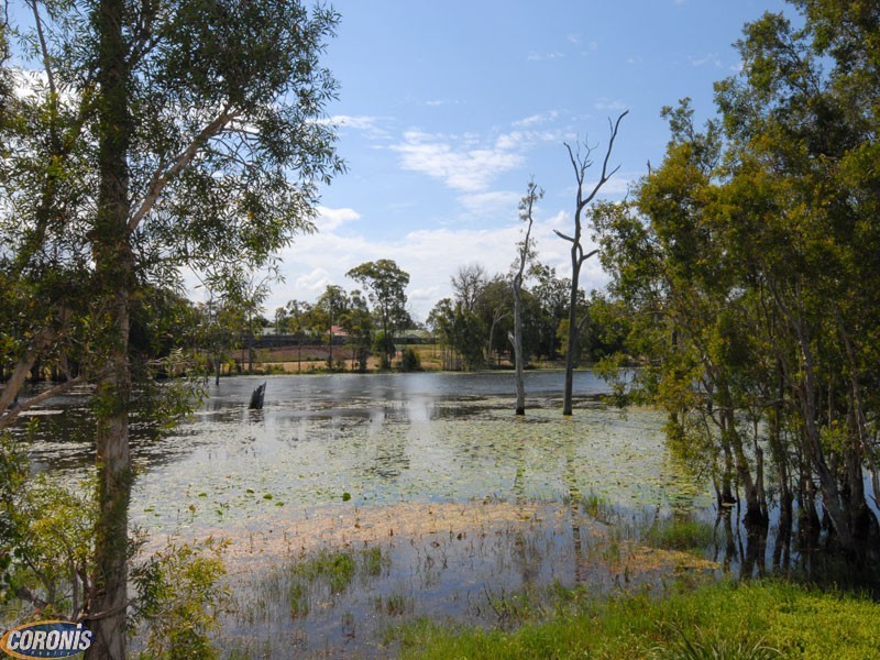 Murrumba Downs QLD 4503