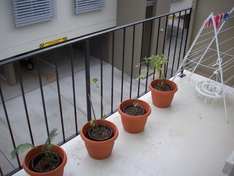 6/35 Windsor Road, Red Hill QLD 4059