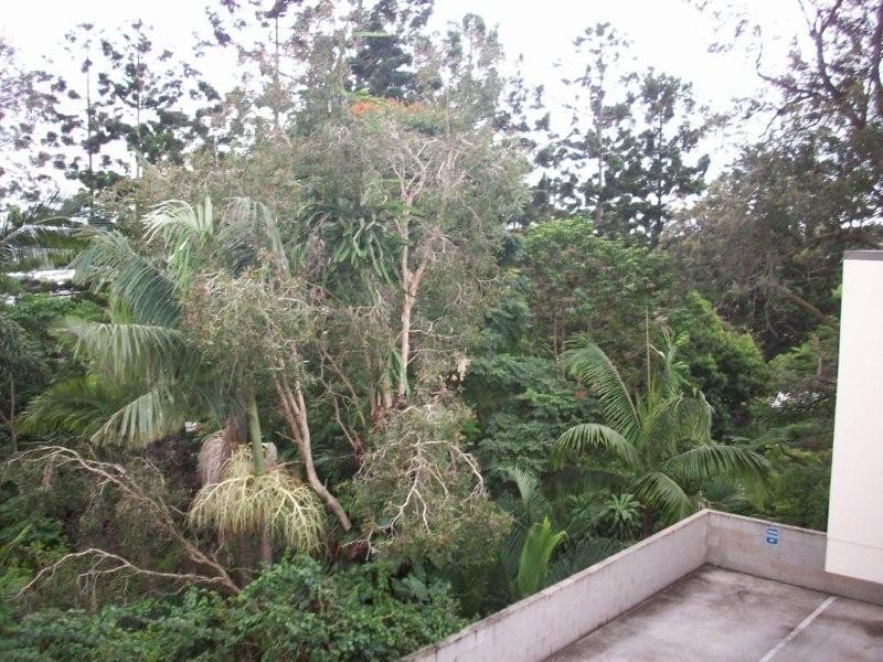 6/35 Windsor Road, Red Hill QLD 4059