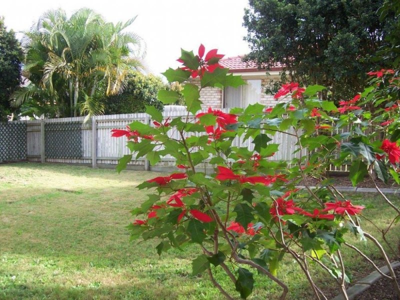 9 Joyce Crescent, Bracken Ridge QLD 4017