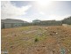 Murrumba Downs QLD 4503