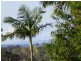 Bracken Ridge QLD 4017