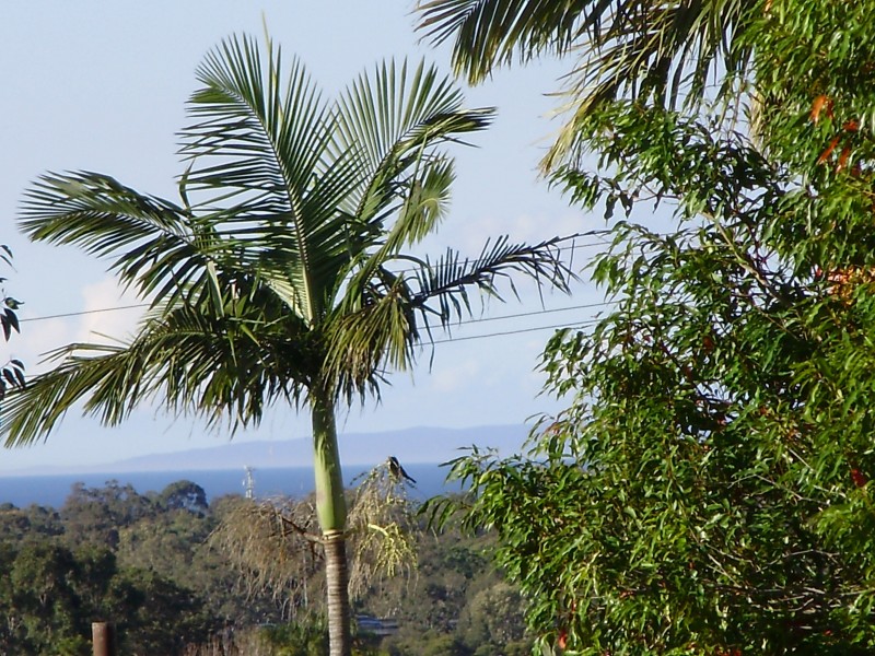 Bracken Ridge QLD 4017
