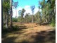 The Palms QLD 4570