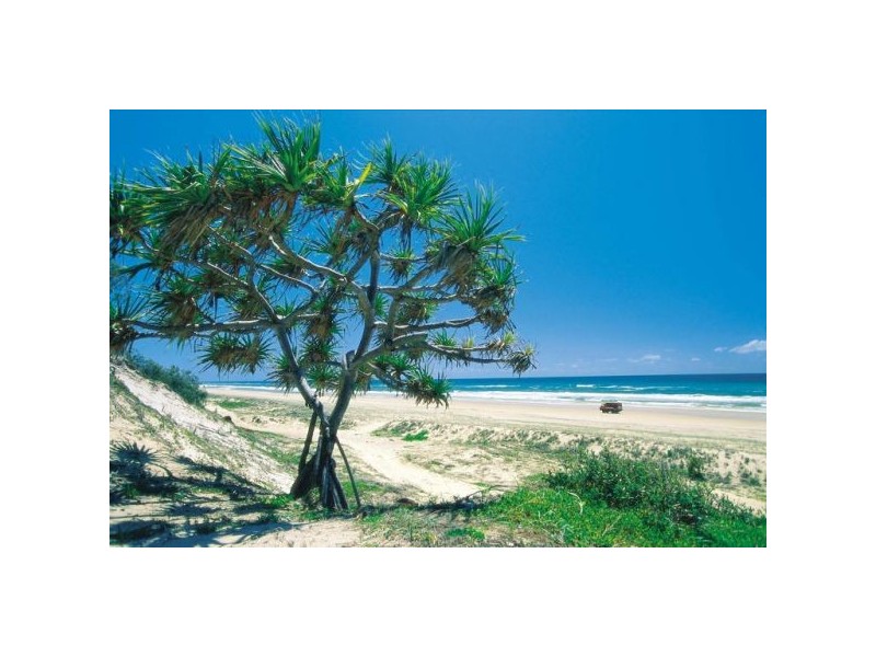 The Palms QLD 4570
