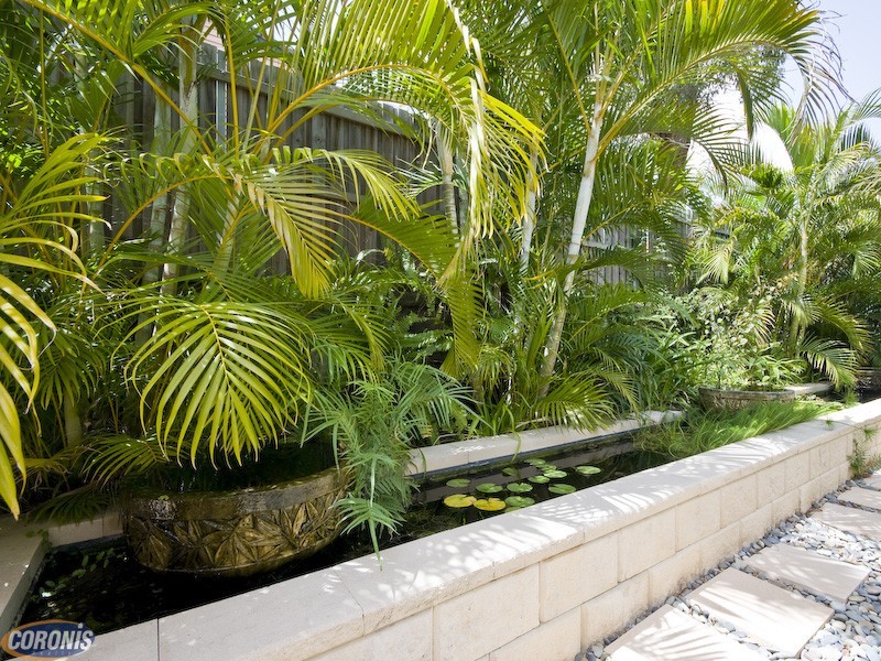 20 Taree Street, Chapel Hill QLD 4069