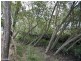 Burpengary QLD 4505
