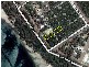White Patch QLD 4507